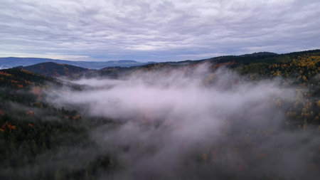 Fog settles softly, Cinematic aerial shot capturing mist weaving through colorful trees and...