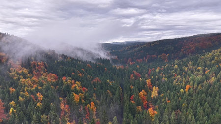 Autumn hilltop view with clouds, Aerial perspective showing cool cloudy sky and swirling fog over lush autumn woodsの写真素材