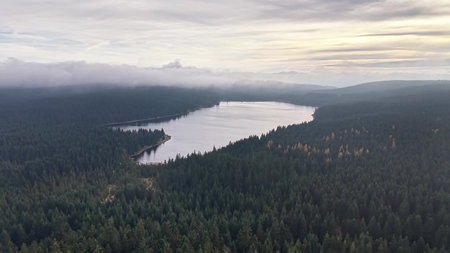 serene morning over wooded landscape, gentle mist hovers above pineladen waters during sunriseの写真素材