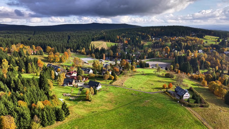 serene countryside with varied scenery, idyllic village nestled among vibrant trees and undulating