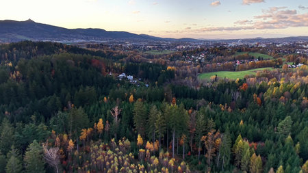evening rural landscape with houses, quiet village and woodland fringe bathed in warm light at duskの写真素材