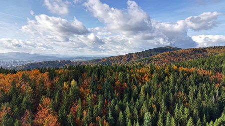 vivid mountain landscape, bright colored mountain ridge adorned with fall trees and drifting cloudsの写真素材