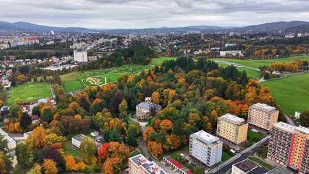 colorful trees border residential area, drone captures lively community with leisure and sportsの写真素材