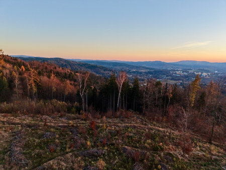 Develop Five Completely Different Sentence Structures Expressing Identical Meaning In Varied Vocabularyの写真素材