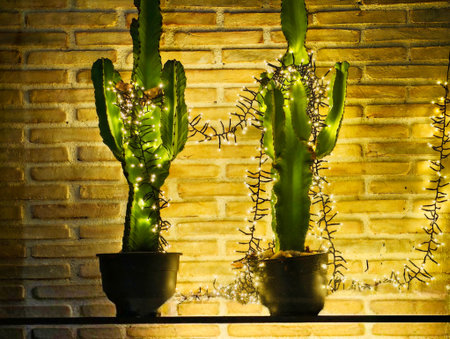 Warm lit potted cacti on shelf against textured brick wall, glowing ambient bulbs casting long shadows,の写真素材