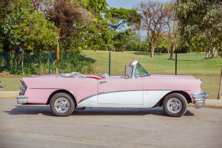 Charming view of classic vintage retro car standing on the road in tropical gardenの写真素材