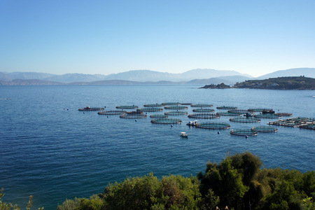 Corfu Island.Fish farming.の写真素材