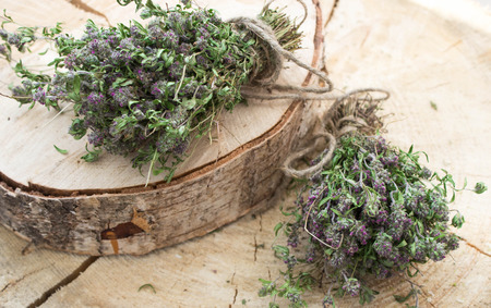 The dried thymeの写真素材