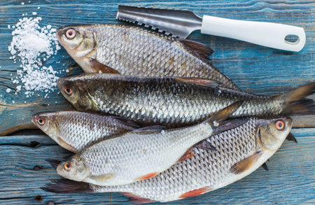 Freshly caught fish on a wooden table and a knife for cleaning of scales