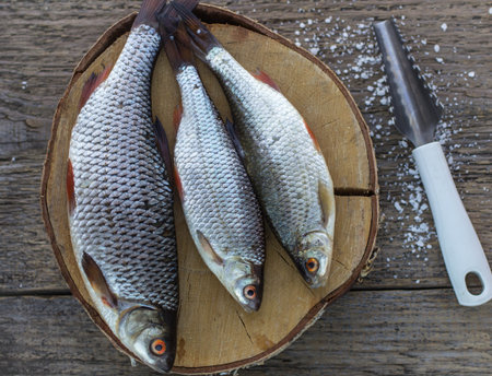 Freshly caught fish on a wooden table and a knife for cleaning of scales