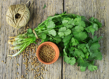 Bunch fresh cilantro, and coriander seeds on a wooden tableの写真素材