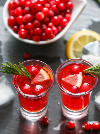 Red cocktail  with fresh cranberries, lemon, rosemary and vodka. Selective focusの写真素材