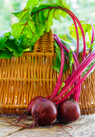Young organic beetroots with leaves on a wooden table. Vegetables from the gardenの写真素材