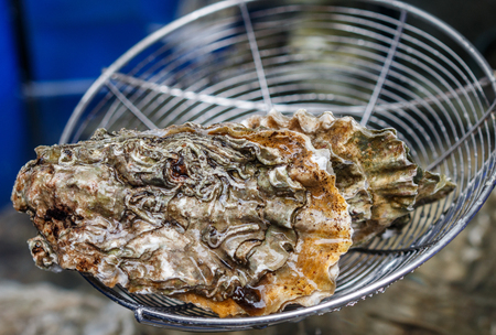 Fresh raw oysters. Seafood. Gourmet appetizer. Selective focusの写真素材