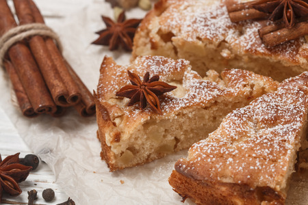 Homemade Apple pie with cinnamon, cardamom and star anise closeup. Traditional autumn cakes for tea. Selective focusの写真素材