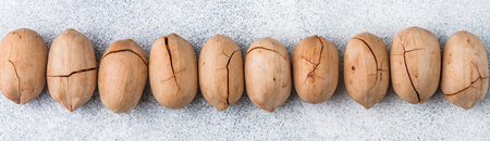 Pecan nut in the peel with close-up cracks. Healthy snack for gourmet. Selective focus, bannerの写真素材