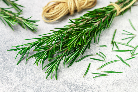 Sprigs of fresh organic rosemary tied with string on a gray background. Spicy herbs. Seasonings and spices.  Selective focusの写真素材
