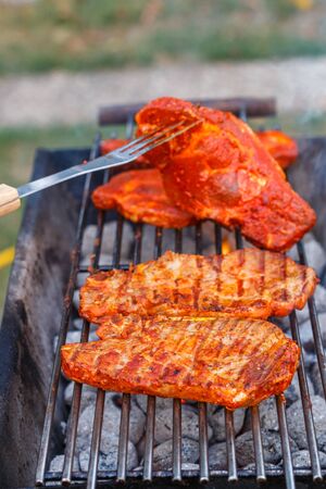 Fry fresh meat in the marinade on the grill on the coals. Picnic. barbeque, BBQ. Selective focusの写真素材