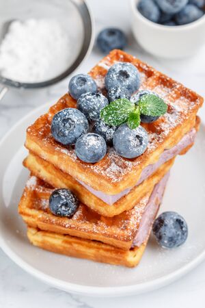 Traditional homemade Belgian (Viennese) waffles with fresh berries, blueberry souffle and powdered sugar. Delicious breakfast. Selective focusの写真素材