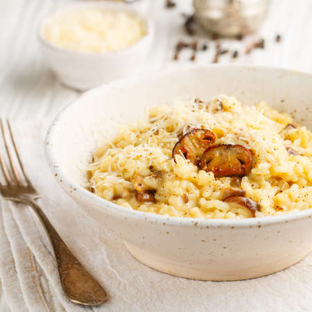 Risotto with porcini mushrooms, Parmesan cheese, Pecorino, onion, garlic, olive oil, dry white wine, freshly ground black pepper and aborio rice. Traditional dish of Mediterranean (Italian) cuisine. Selective focus, square pictureの写真素材