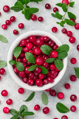 Fresh ripe organic wild cranberries in a white plate on a gray concrete background. forest Berries...