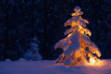 Christmas tree with a lantern in the snow in the woods. New year in the forestの写真素材