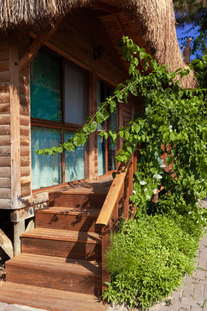 Wooden porch with steps decorated with green plantsの写真素材