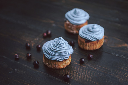 muffin with currants on a dark background next to the berries on the branches. in a rustic style. dark styleの写真素材