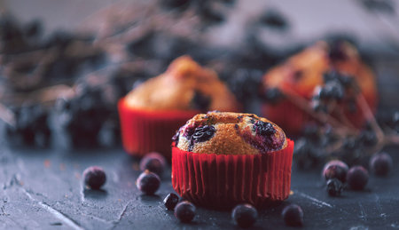 muffin with currants on a dark background next to the berries on the branches. in a rustic style....