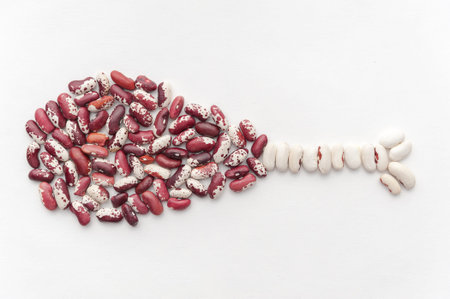 bean meat substitute. the concept of vegetarian food.