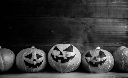 Halloween Pumpkins On Wood In the style of black and white cinemaの写真素材