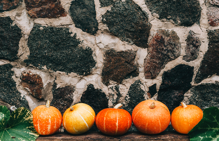 Ripe small farmer ecologically clean pumpkins of different varietiesの写真素材