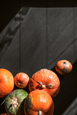 ripe pumpkins on a wooden floor. preparation for halloweenの写真素材
