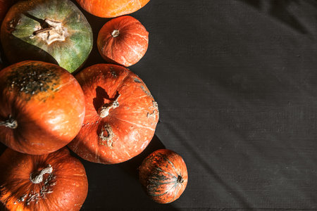 ripe pumpkins on a wooden floor. preparation for halloweenの写真素材