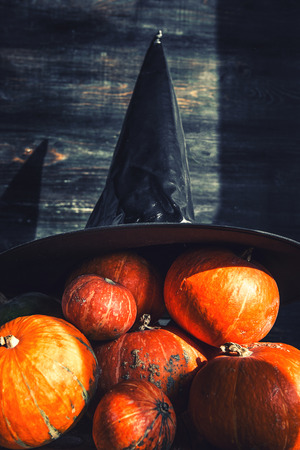 pumpkin and witch hat. Halloween party conceptの写真素材