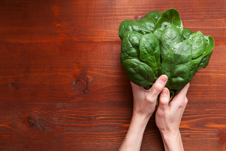 wet leaves in female handsの写真素材