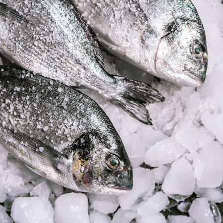 fresh raw dorado fish on ice