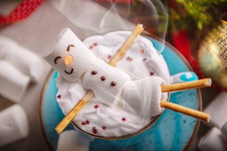 winter illustration with a mug of hot chocolate in which lies a smiling marshmallow man, all this in Christmas holiday decorationsの写真素材