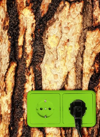 Concept background - green outlets on the wood.の写真素材