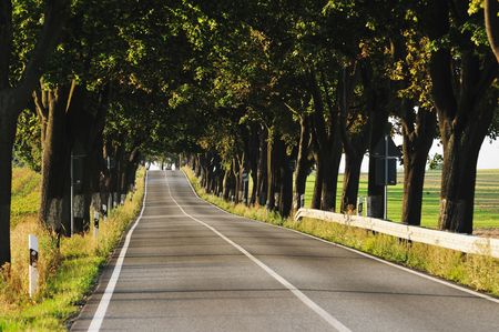 Road in country side in warm evening sunlightの写真素材