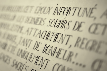 Details of old engraving inscription on stone wall (sepia toned, selective focus). Location:...