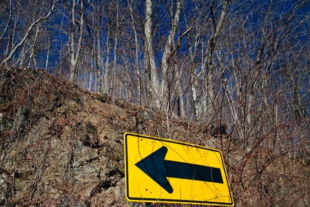 yellow road sign and treesの写真素材