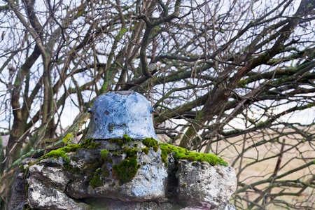 old steel helmet on war memorial in Alsace country fieldのeditorial素材