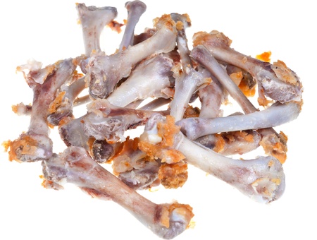 gnawed chicken bones isolated on white backgroundの写真素材