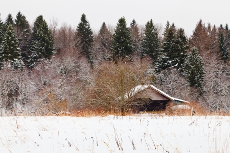 low wooden house on edge of snowed forest in cold winter dayの写真素材