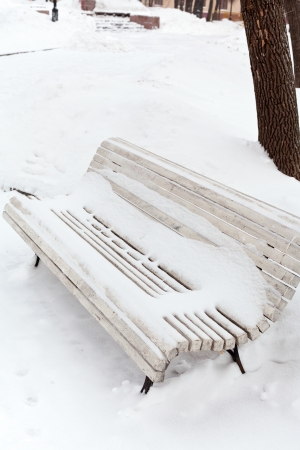 white snow-covered wooden bench on urban Bolotnaya Square, Moscowの写真素材