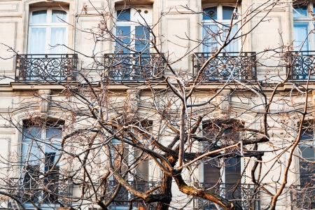 Paris urban building in early spring afternoonの写真素材
