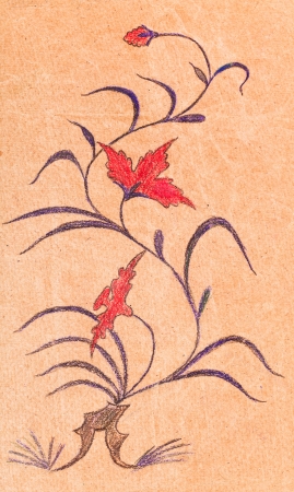 abstract herb ornament on wrapping paper drawn by gel penの写真素材