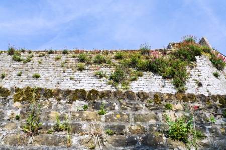 Medieval and antique Roman rampart in Boulogne-sur-Mer, Franceの写真素材