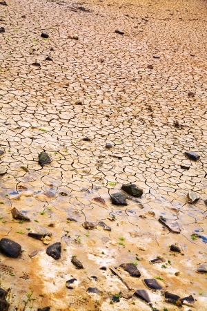 cracked bottom of dried lake in Brittanyの写真素材